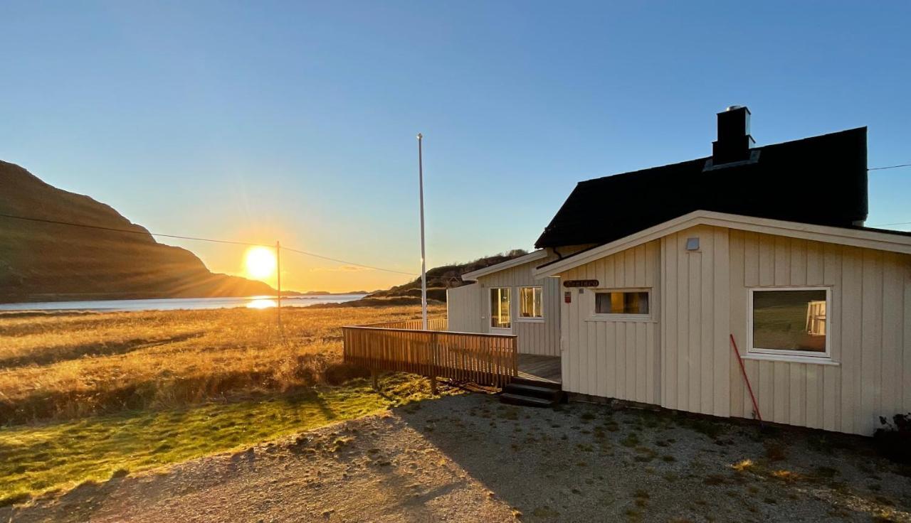 Kvalvika Retreat - Lofoten Leknes Exteriör bild